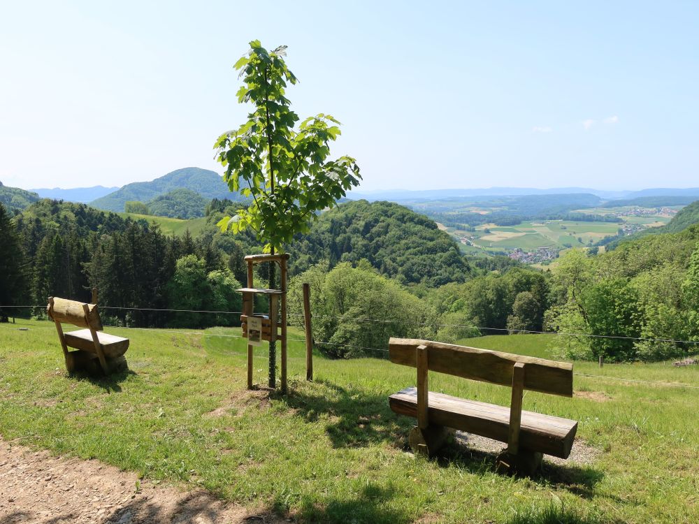 Sitzbänke mit Aussicht