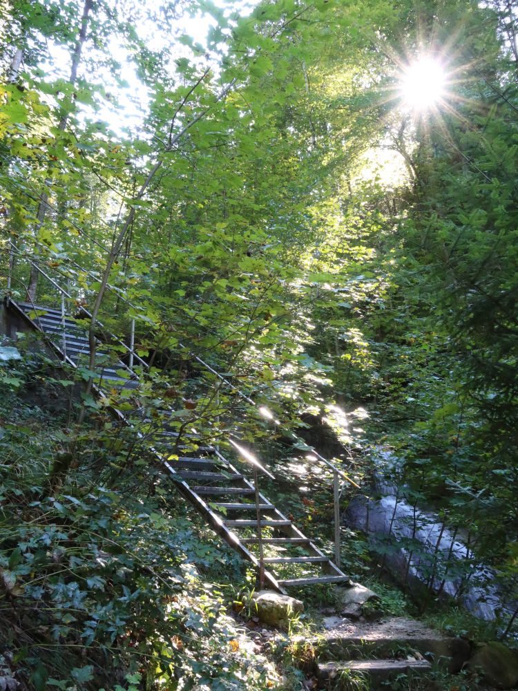 Treppe mit Gegenlicht