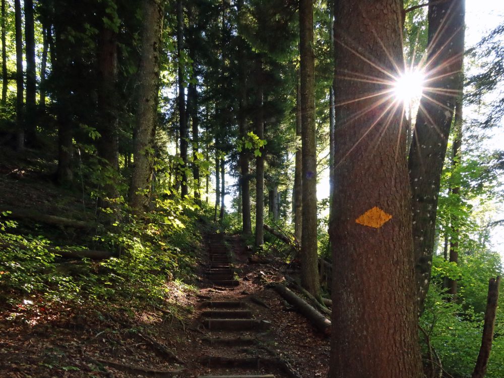 Treppe mit Gegenlicht