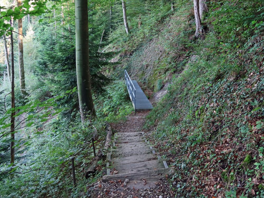 Treppe und Steg