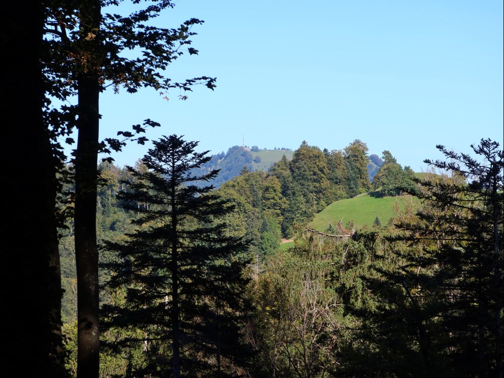 Blick zum Hörnli