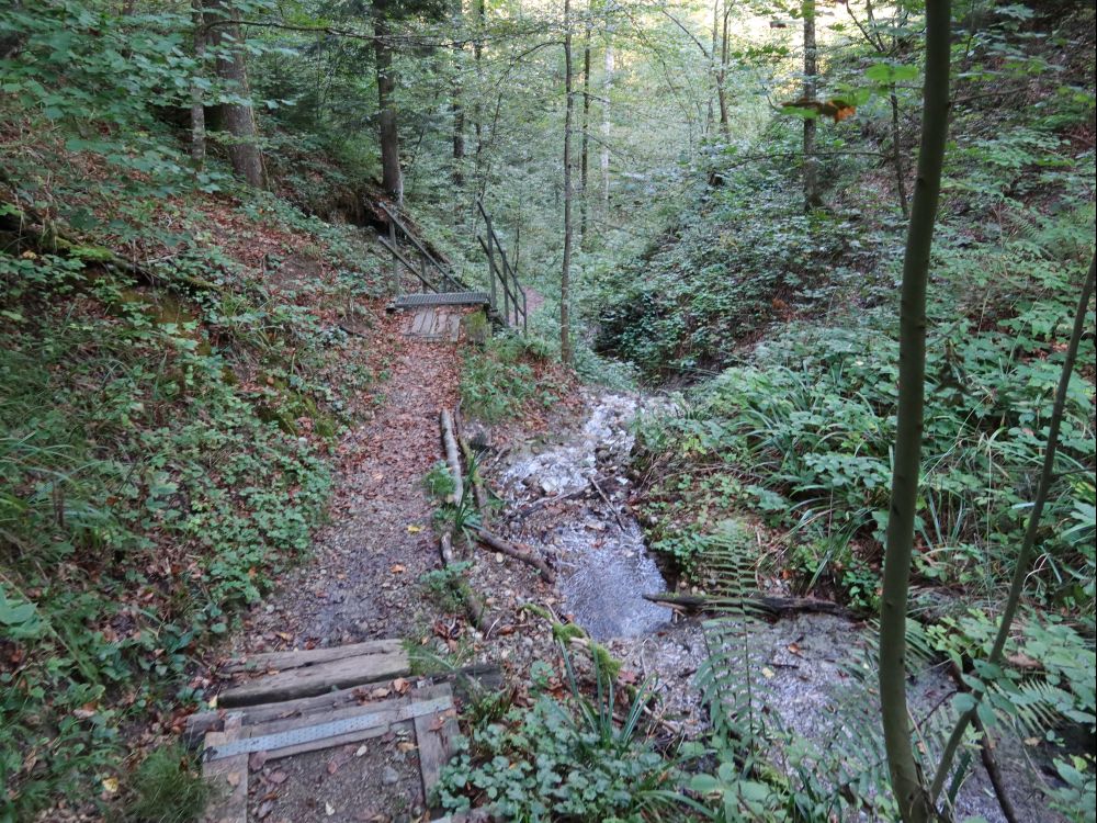 Treppen am Bach