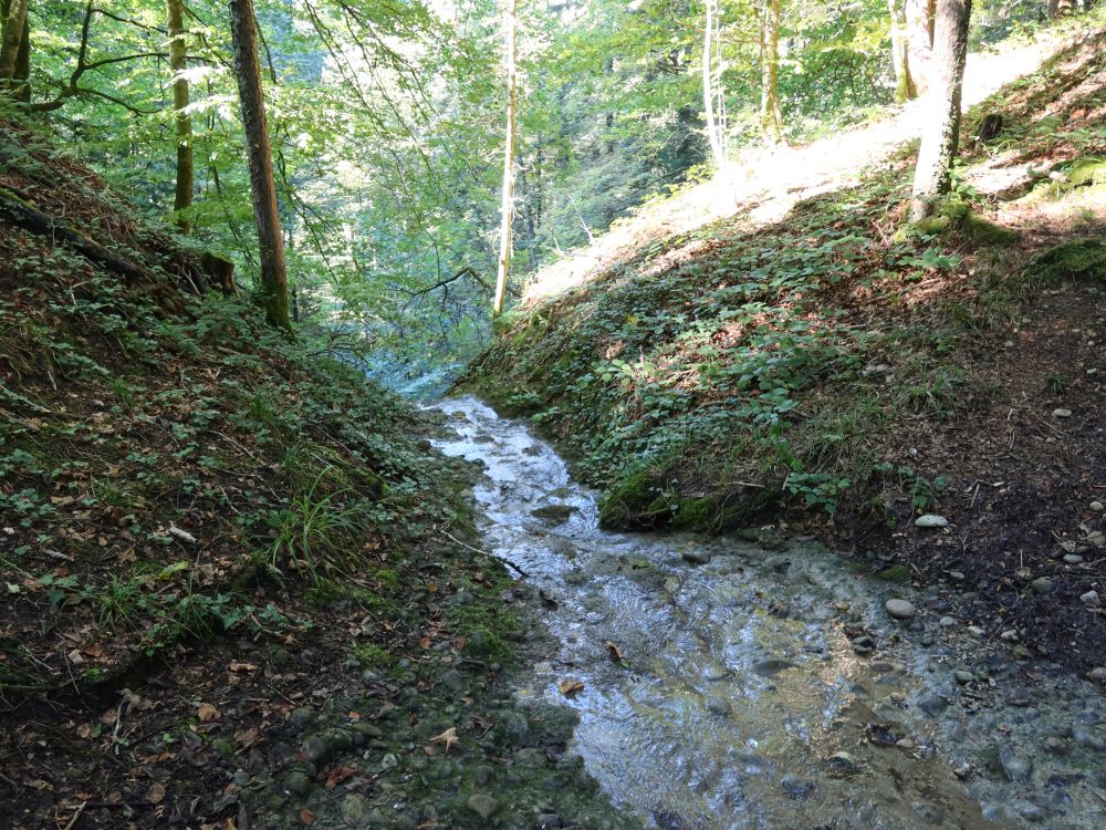 Lochbach-Wasserfall II von oben