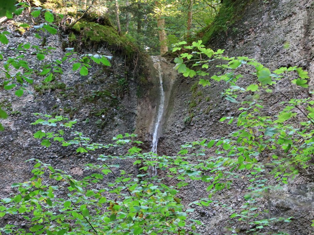 Lochbach-Wasserfall I