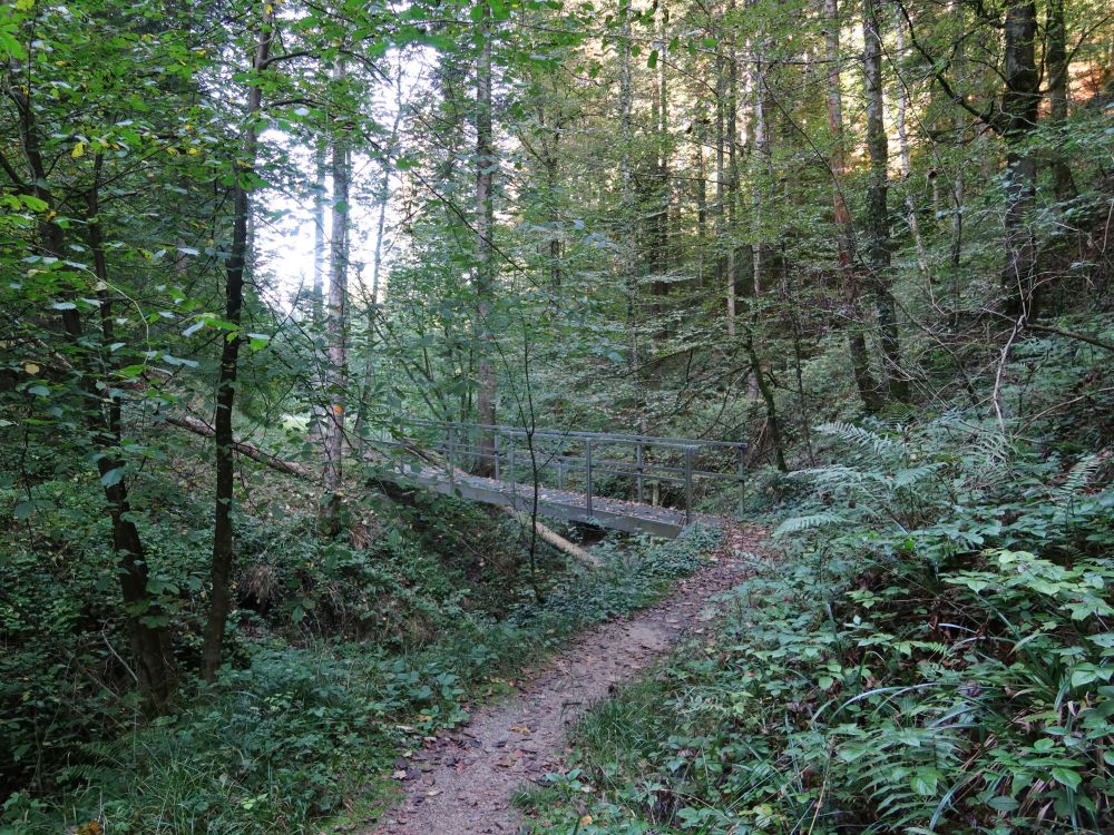 Hoheneggweg und Eisensteg