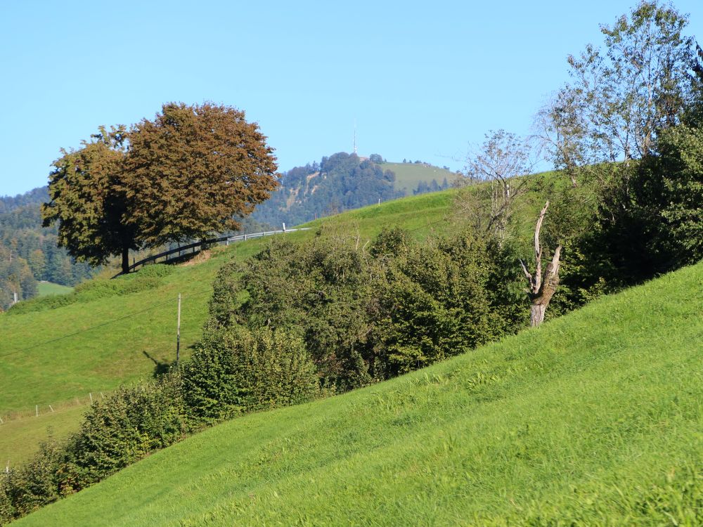 Blick Richtung Hörnli