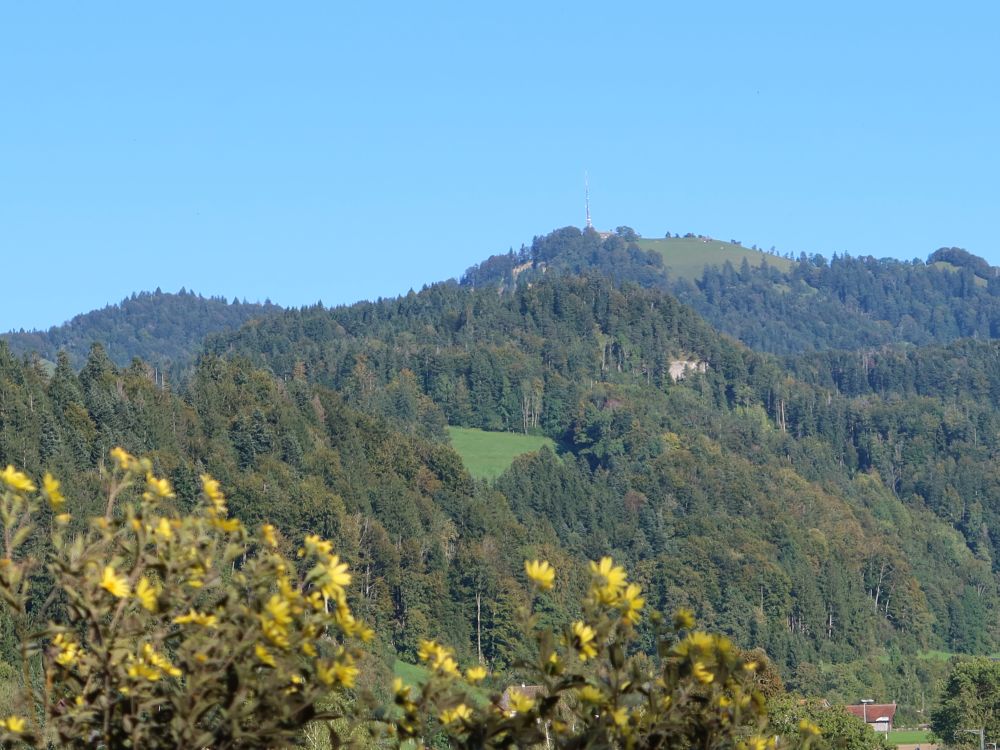 Blick Richtung Hörnli