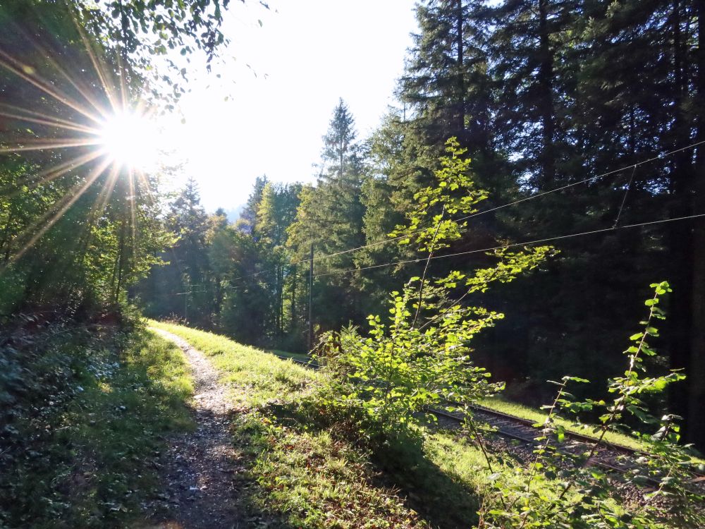 Pfad an der Bahnlinie mit Gegenlicht