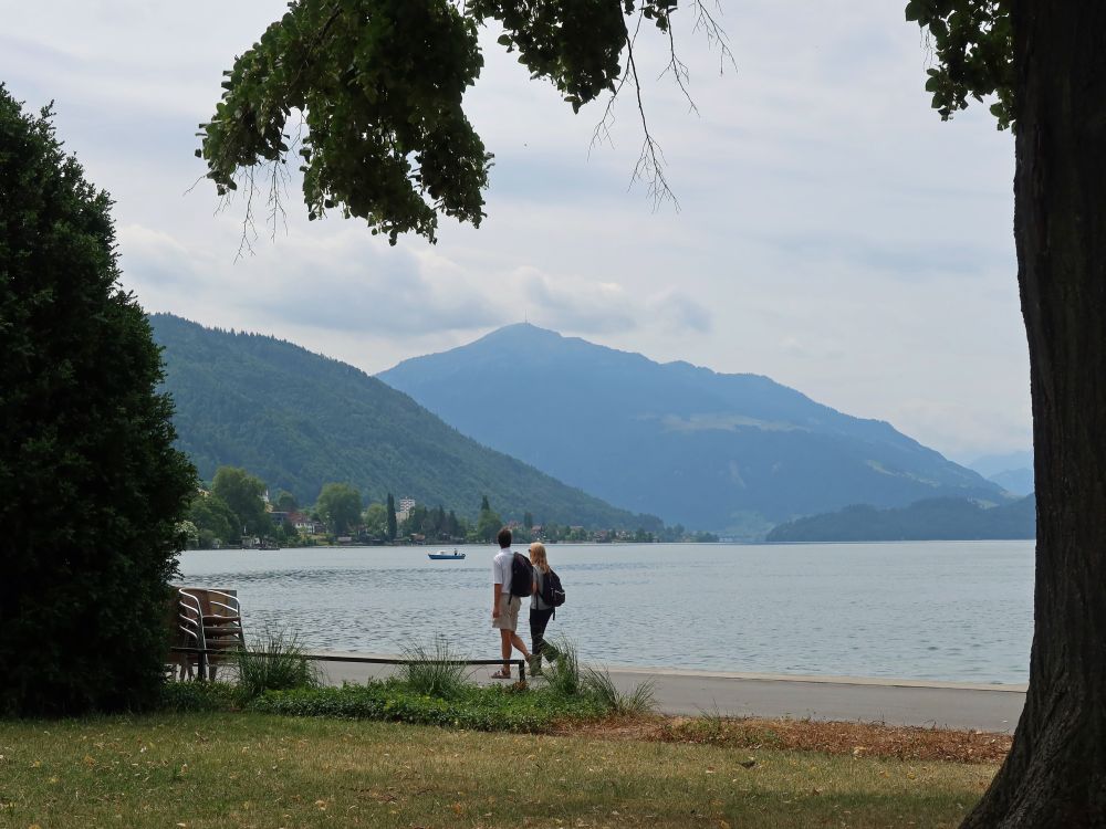 Zugersee und Rigi