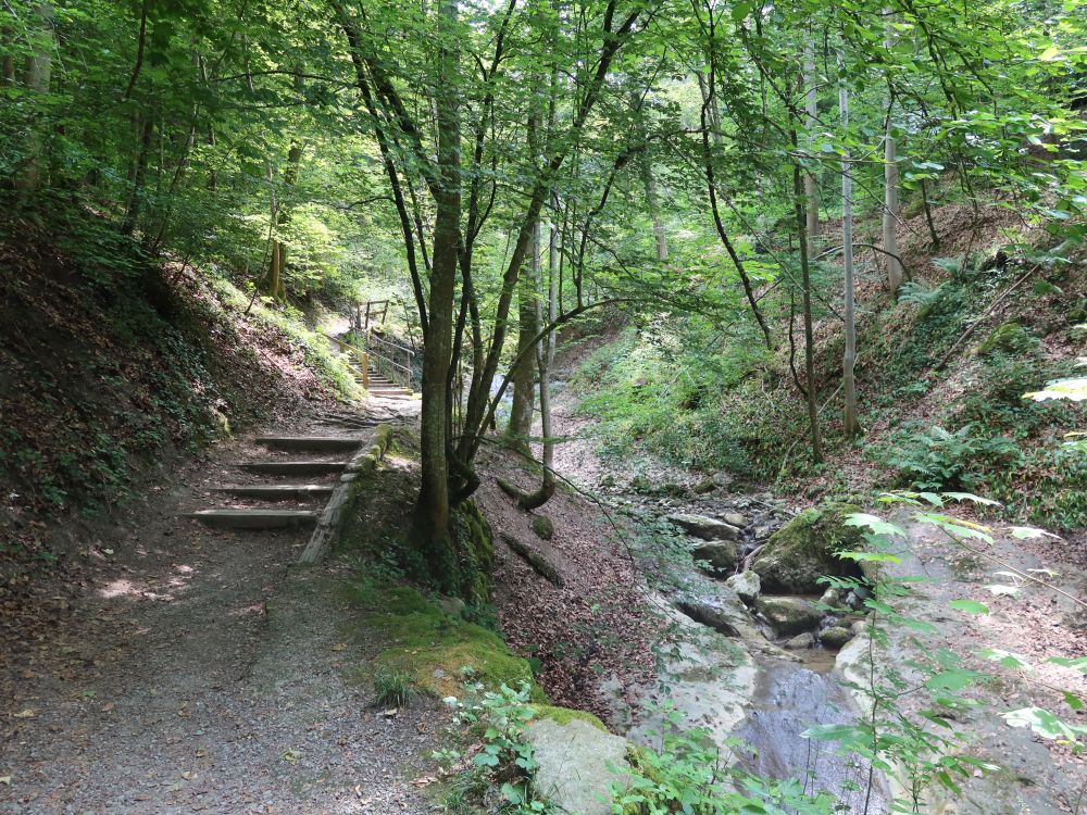 Friedbachtobelweg