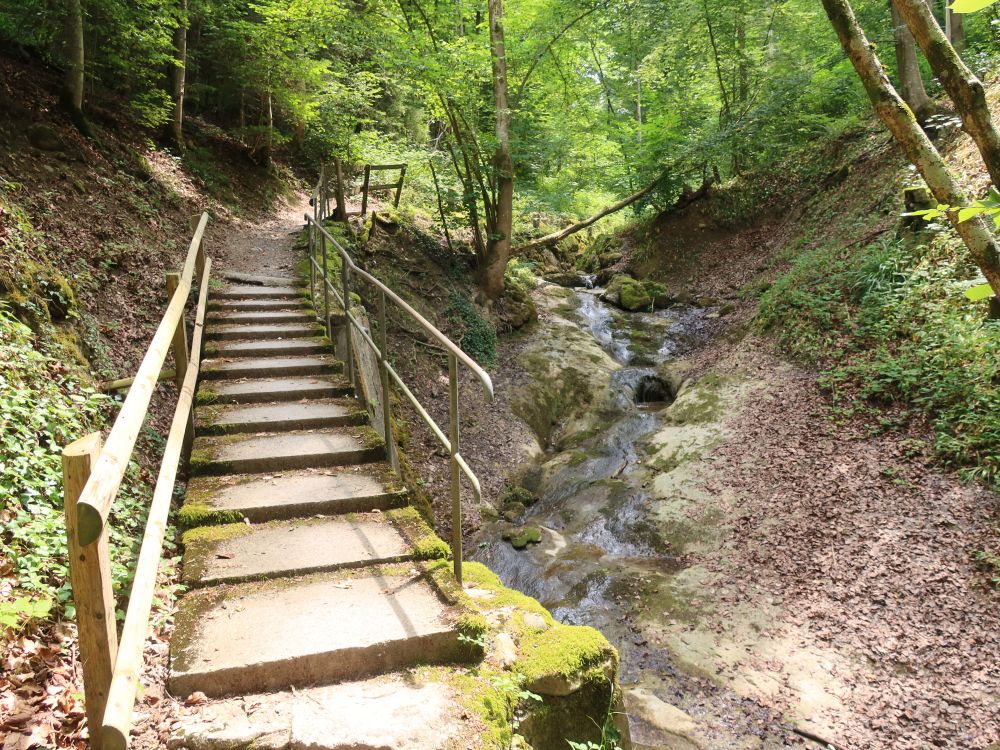 Treppe am Friedbach