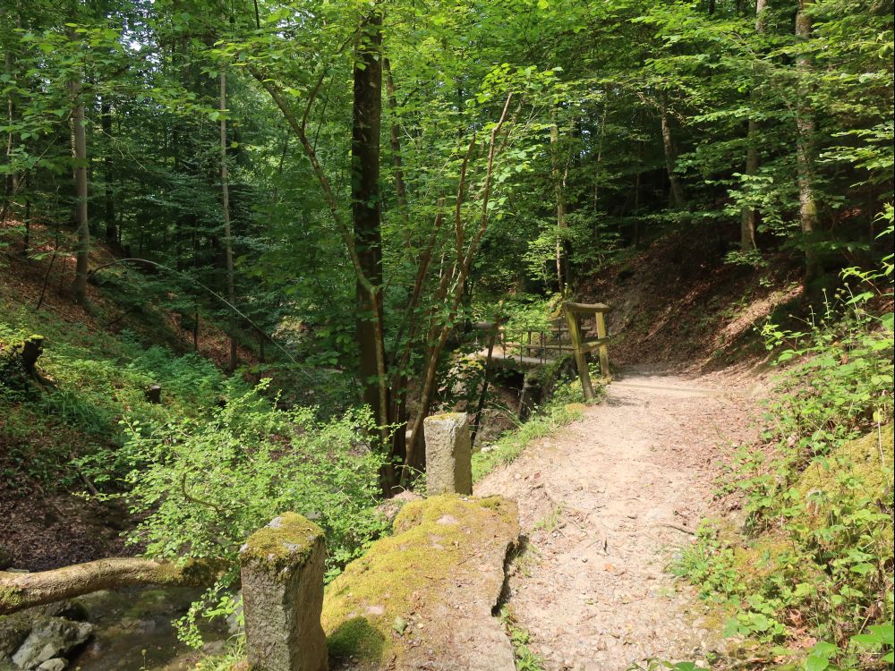 Friedbachtobelweg