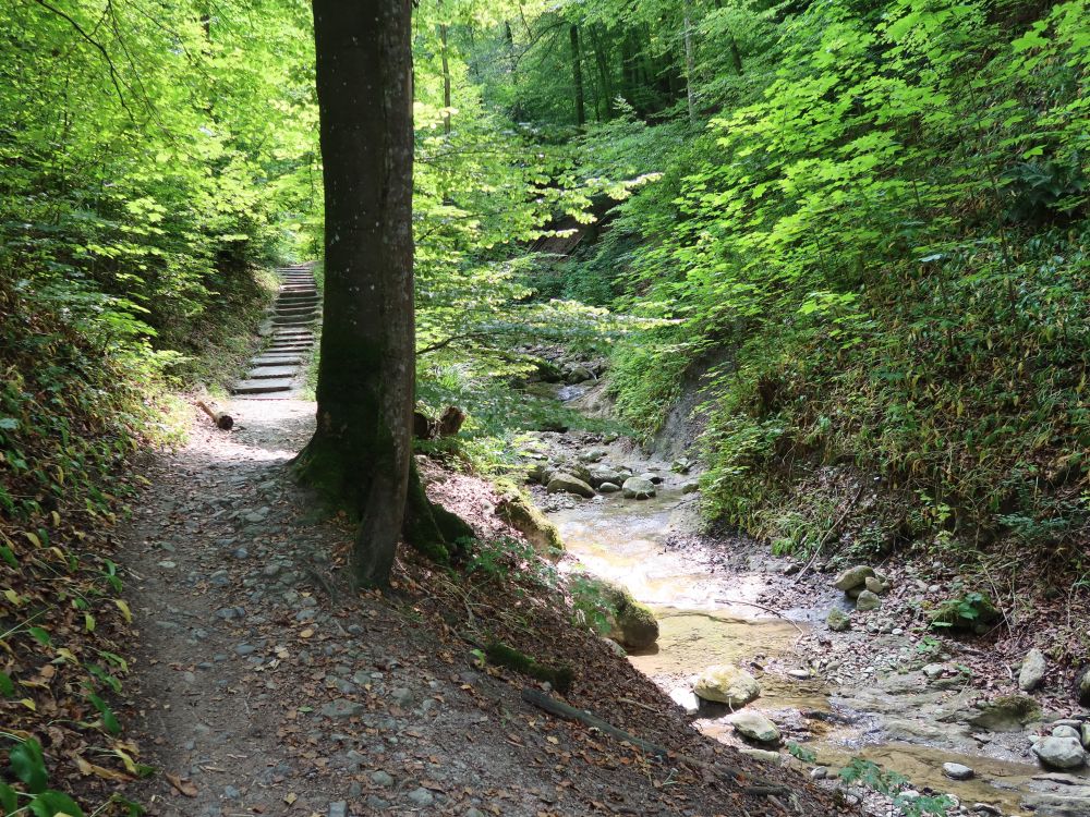 Friedbachtobelweg