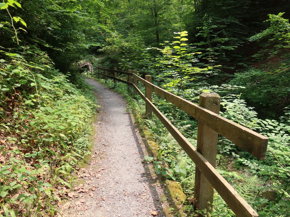 Friedbachtobelweg