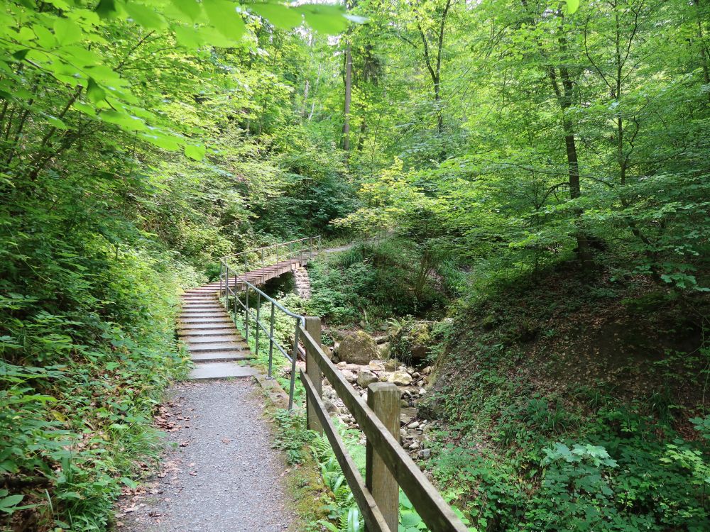 Friedbachtobelweg