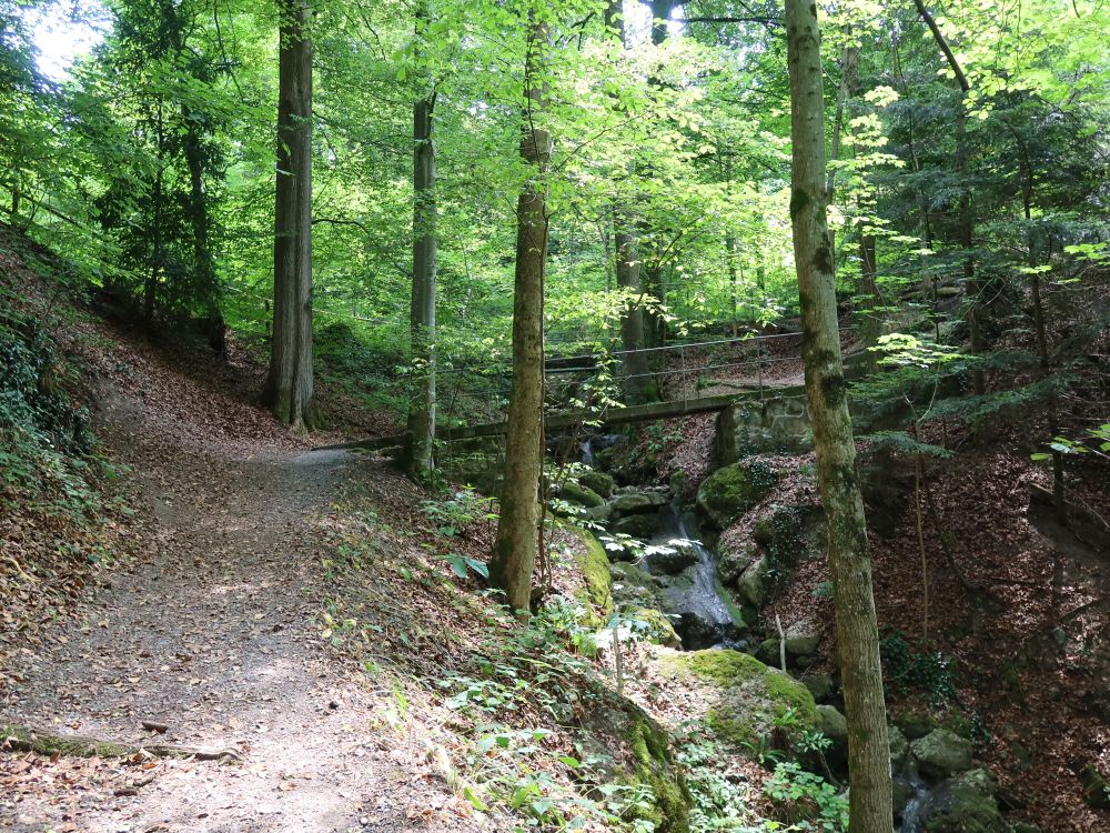 Friedbachtobelweg