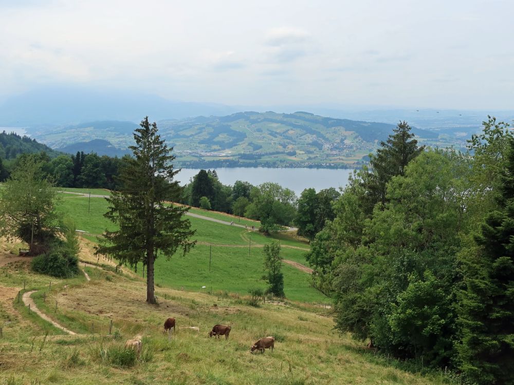 Rooterberg und Zugersee