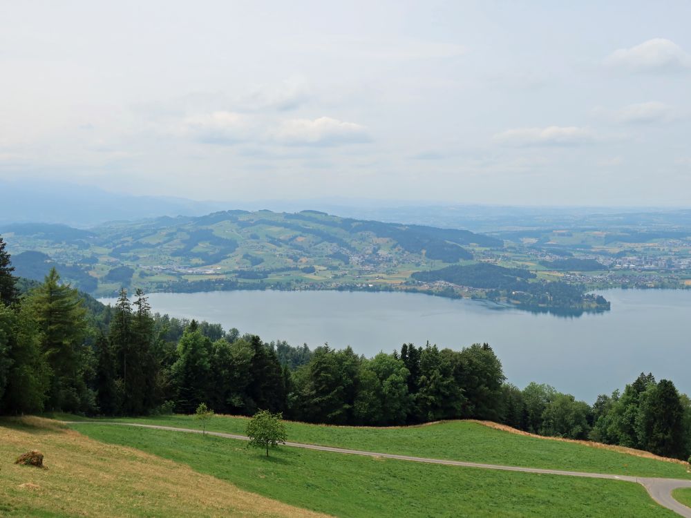 Rooterberg und Zugersee