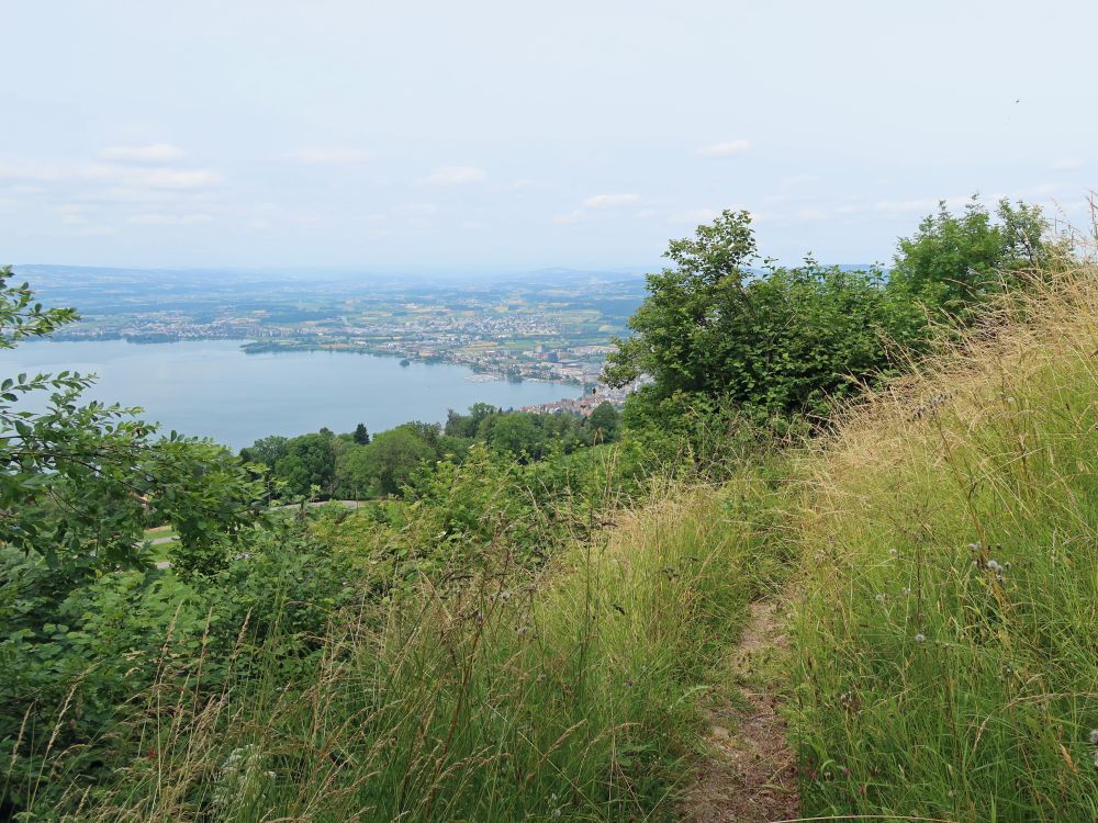 Blick vom Panoramaweg beim Institut Montana