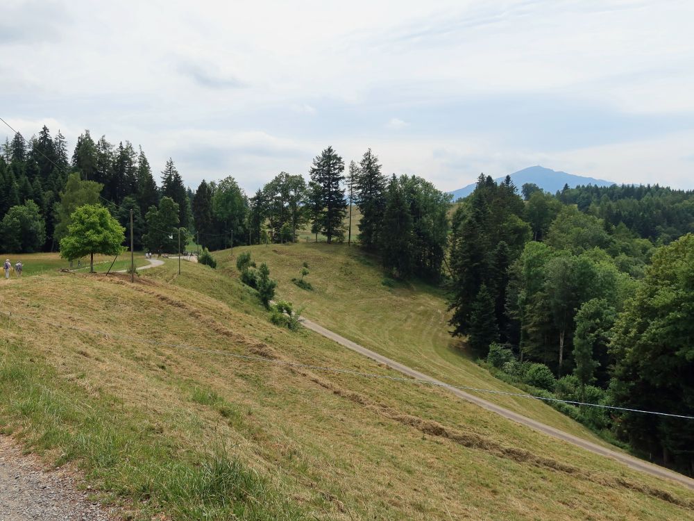 Blick Richtung Rigi