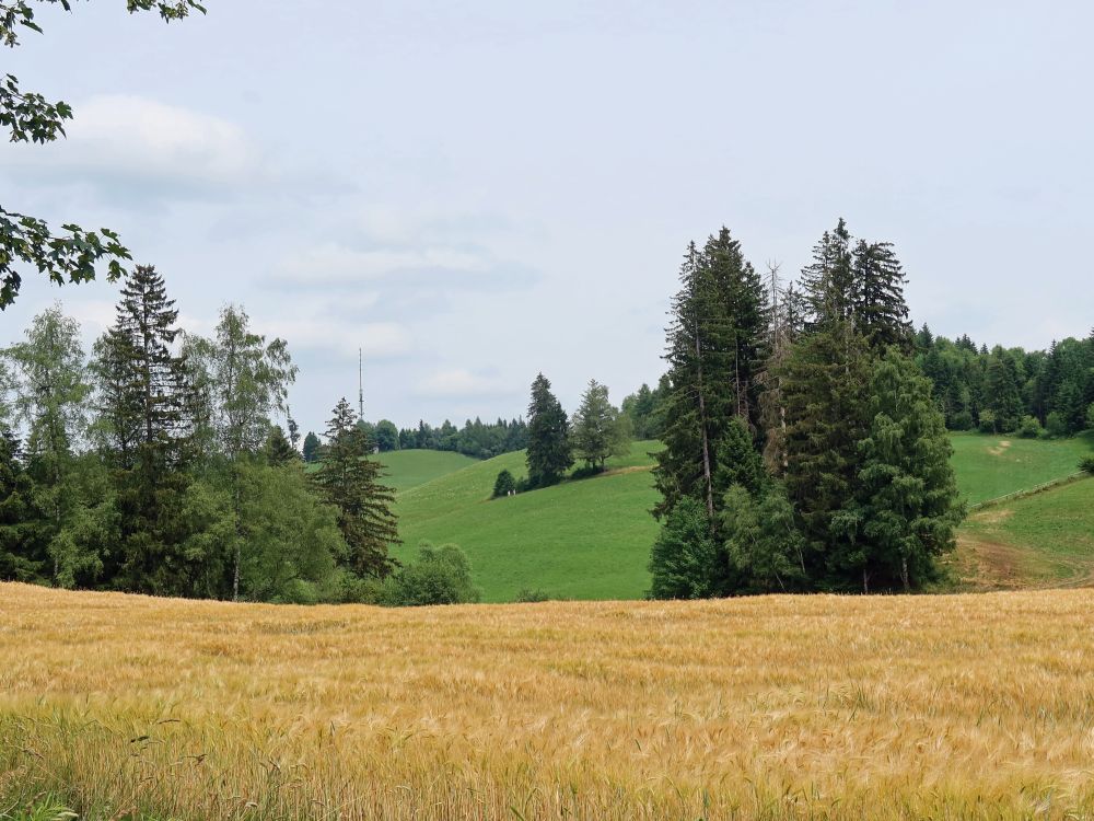 Blick Richtung Hochwacht