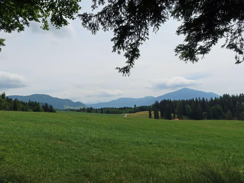 Blick vom Aussichtspunkt Richtung Rigi