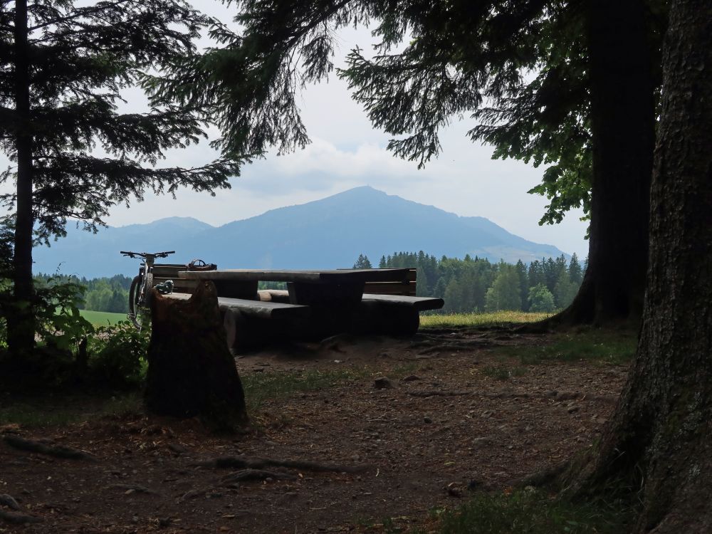 Blick zur Rigi