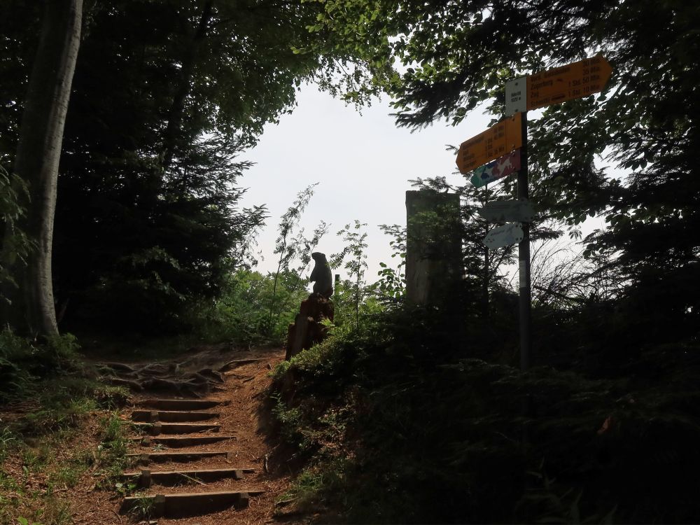 Treppe und Holzbiber