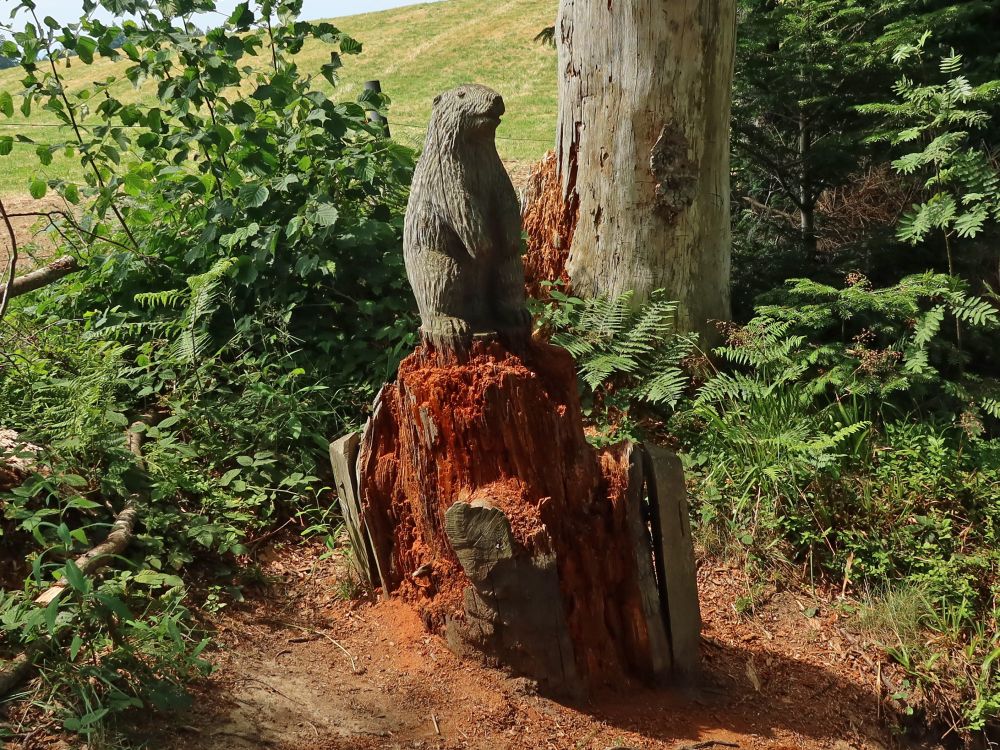 Biber aus Holz geschnitzt