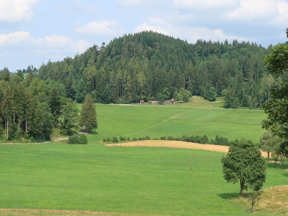 Blick Richtung Schattwäldli