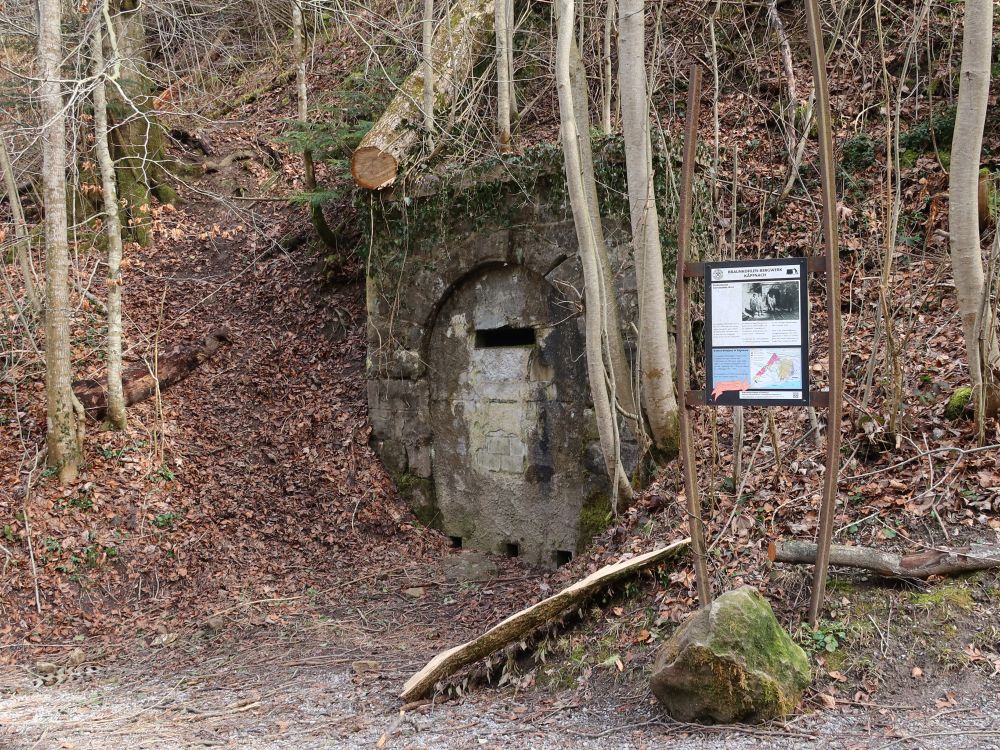 Braunkohlen-Bergwerk