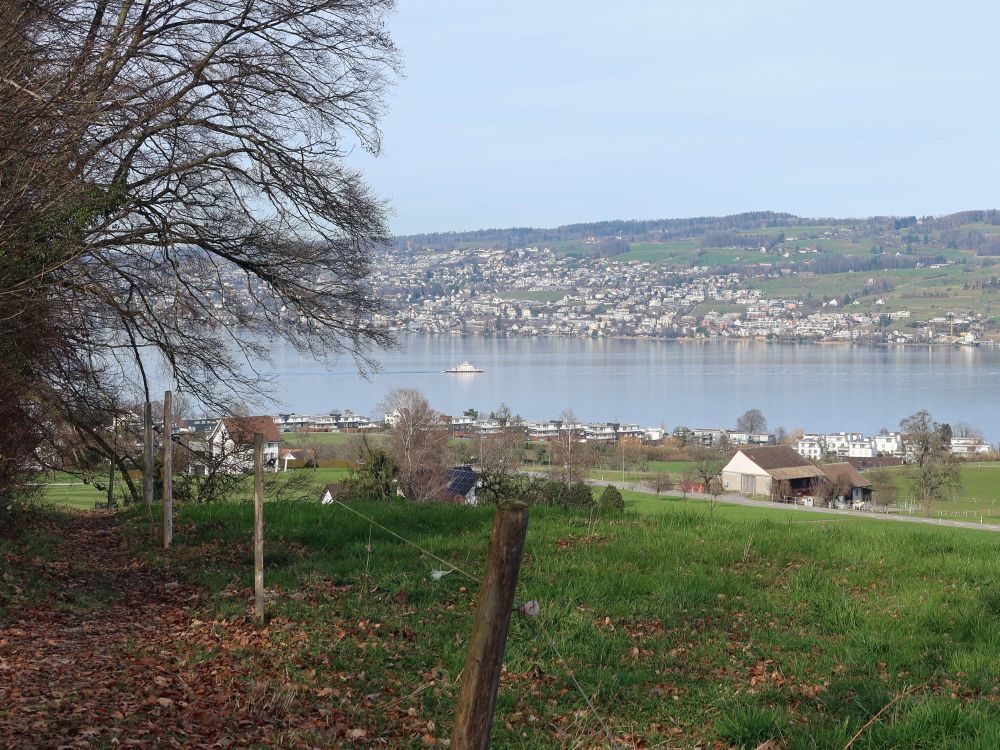 Zürichsee