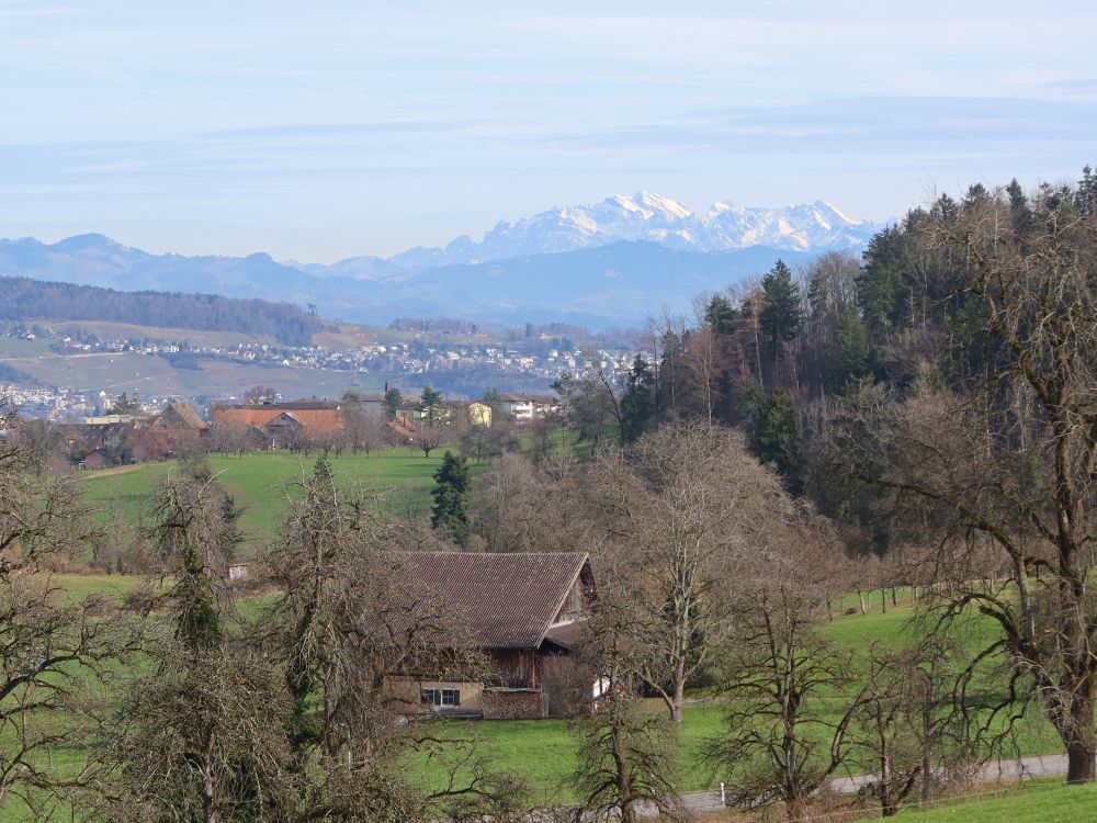 Blick Richtung Säntis