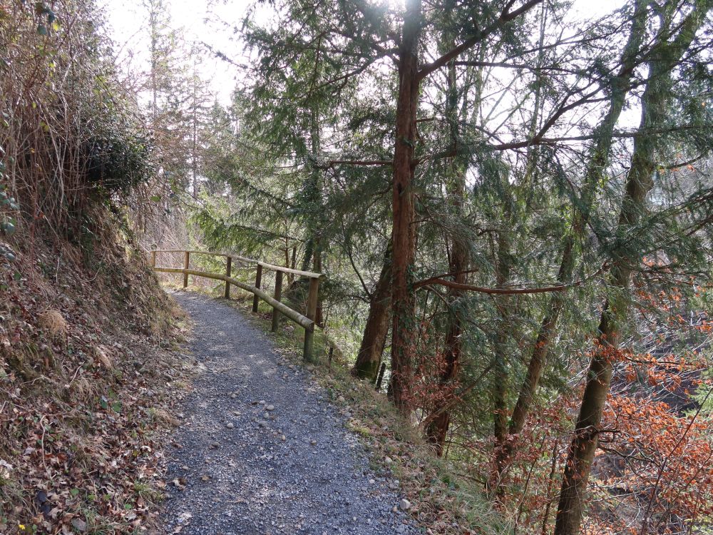 Sackholzweg