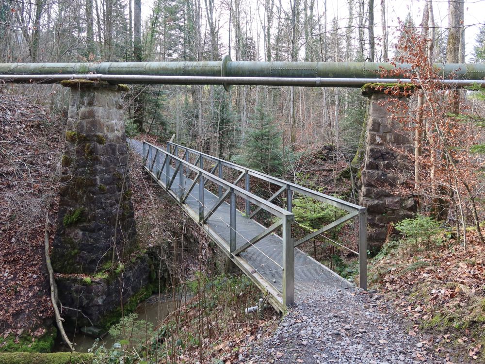 Wasserrohr überm Eisensteg