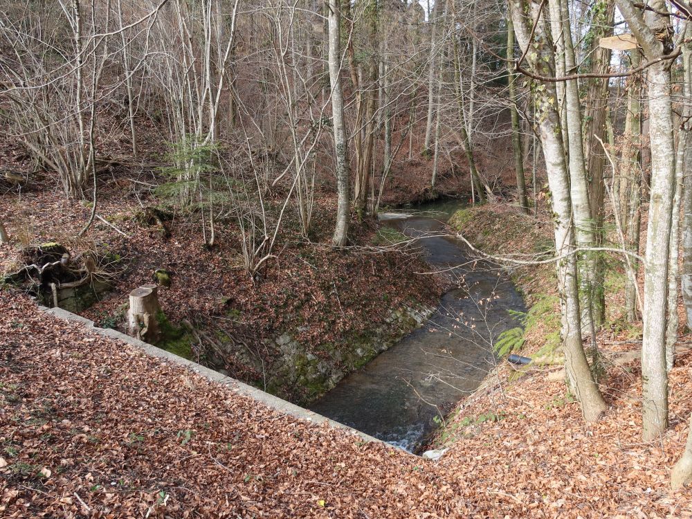 Abfluss vom Aabach-Weiher