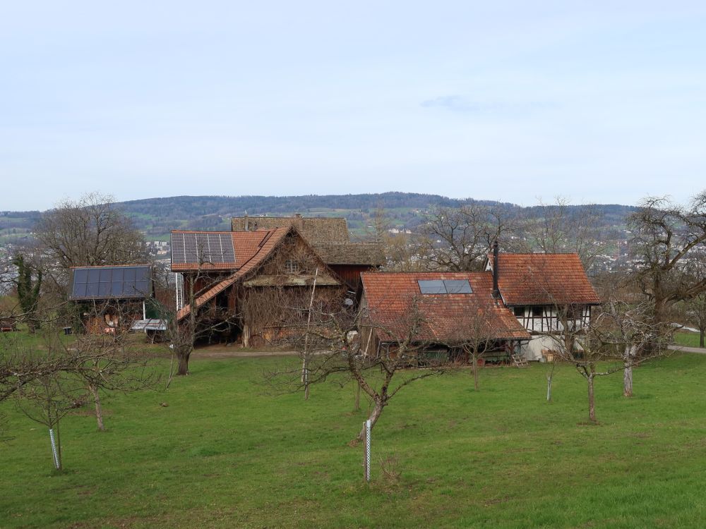 Bauernhof Steinacher