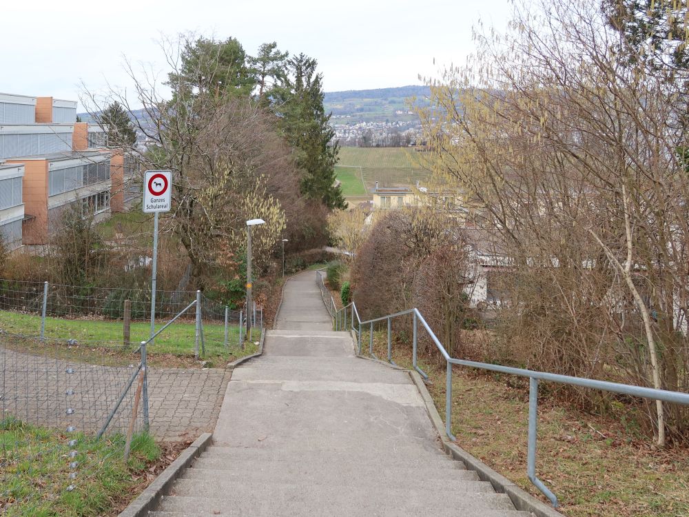 Treppe in Au