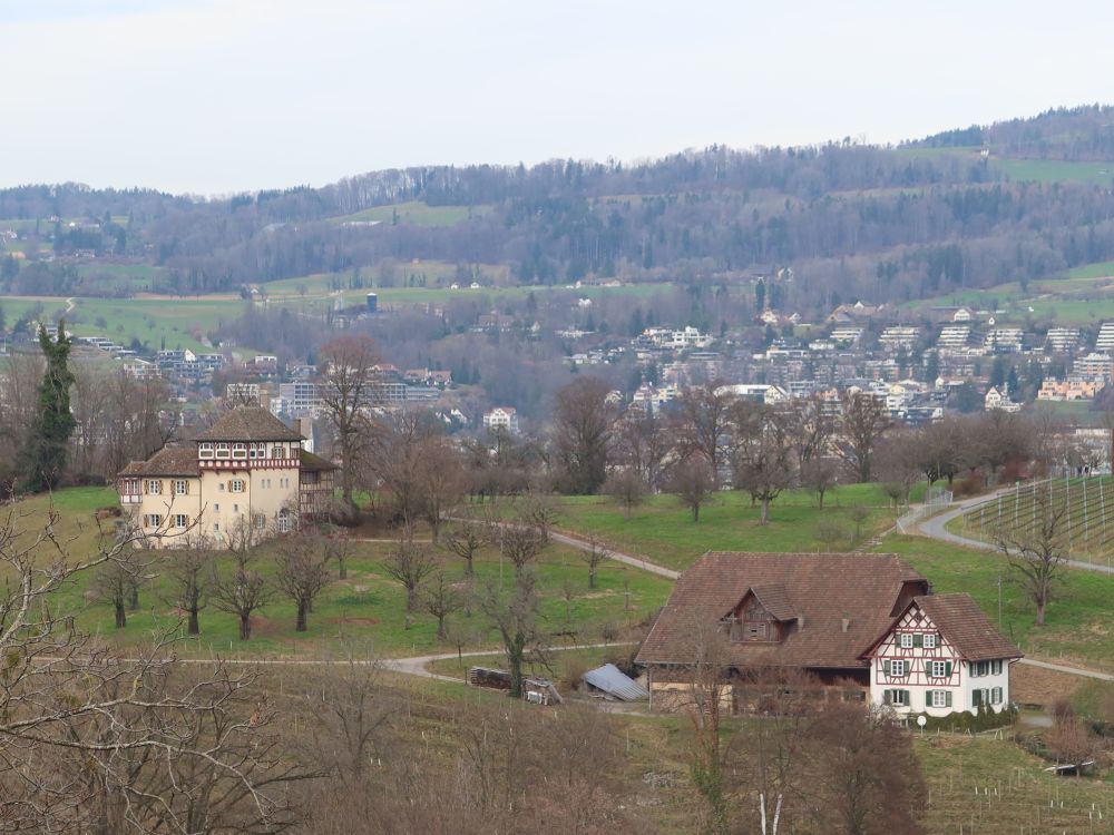 Gebäude auf Halbinsel Au