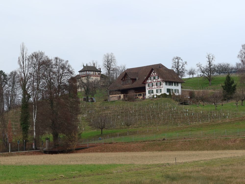 Gebäude auf Halbinsel Au