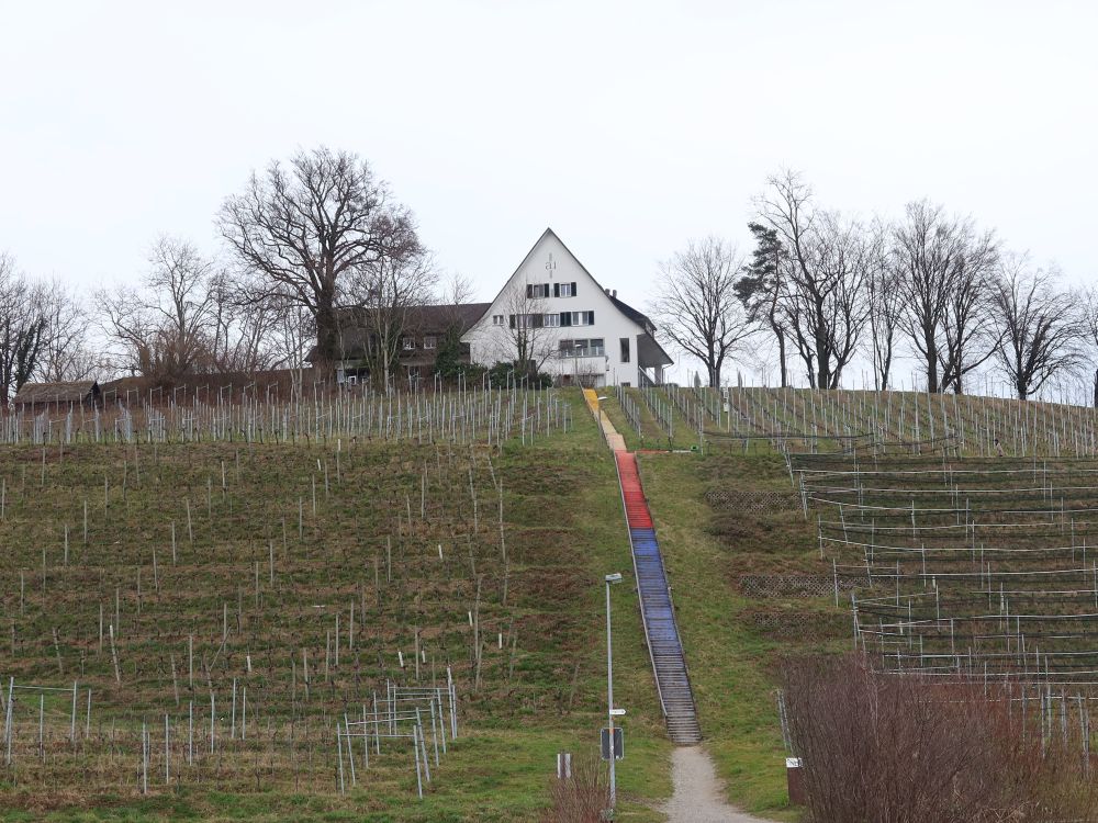 Landgasthof Halbinsel Au