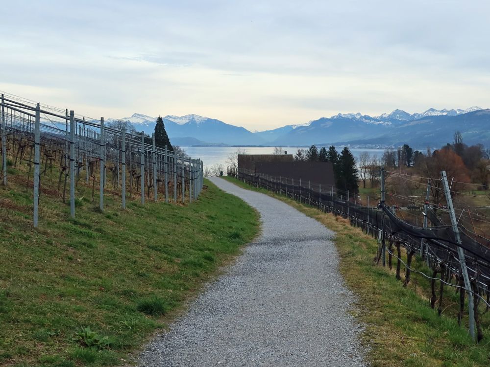 Zürichsee und Vilan in Bildmitte