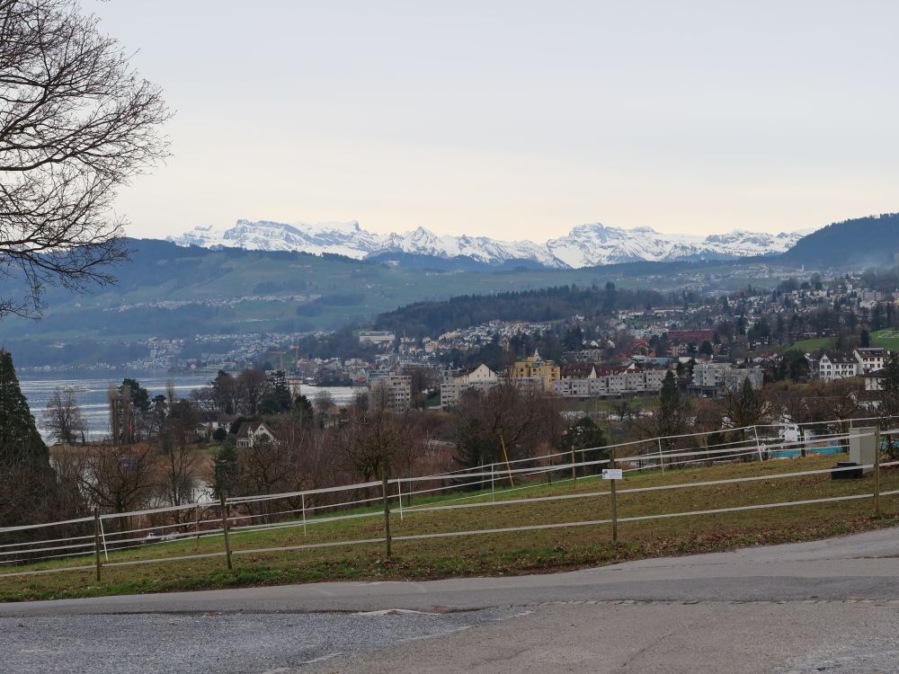 Wädenswil und Glarner Alpen