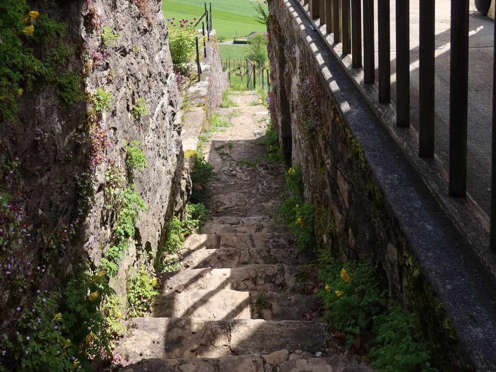 Treppe zum Rebgarten