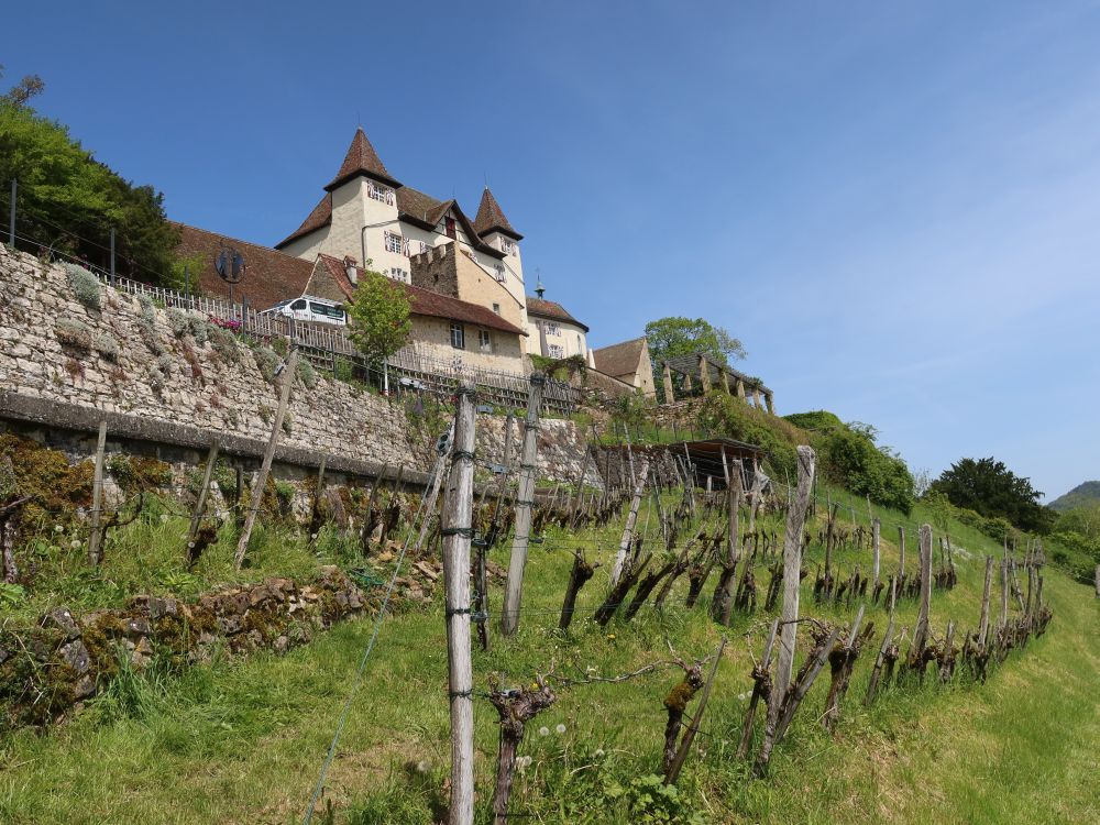 Schloss Wartenfels