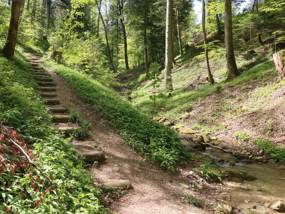 Treppe am Schwandenbach