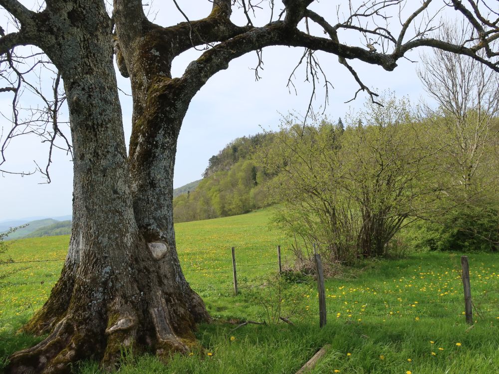 Blick Richtung Flueberg