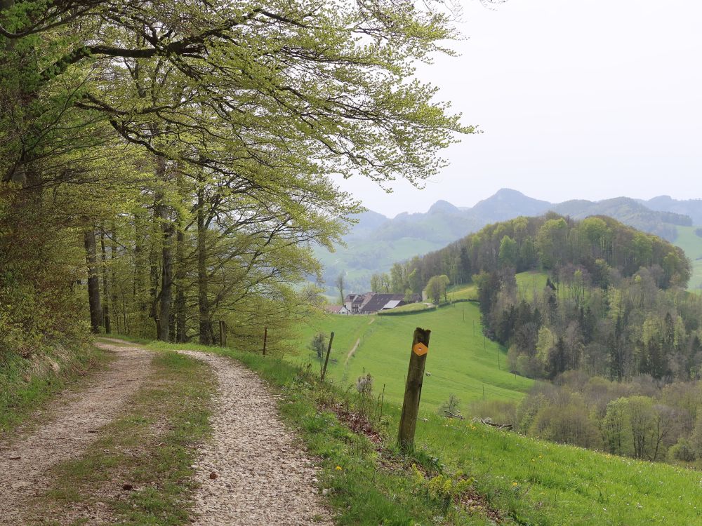 Blick Richtung Froburg