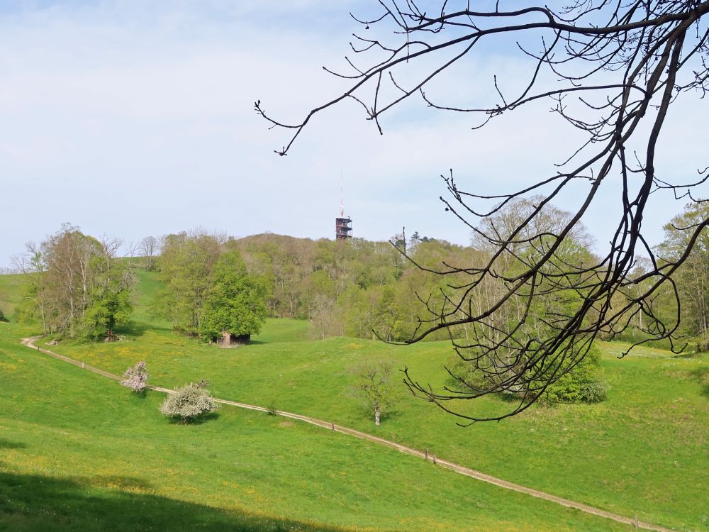 Blick zum Sendeturn Lostorf Froburg