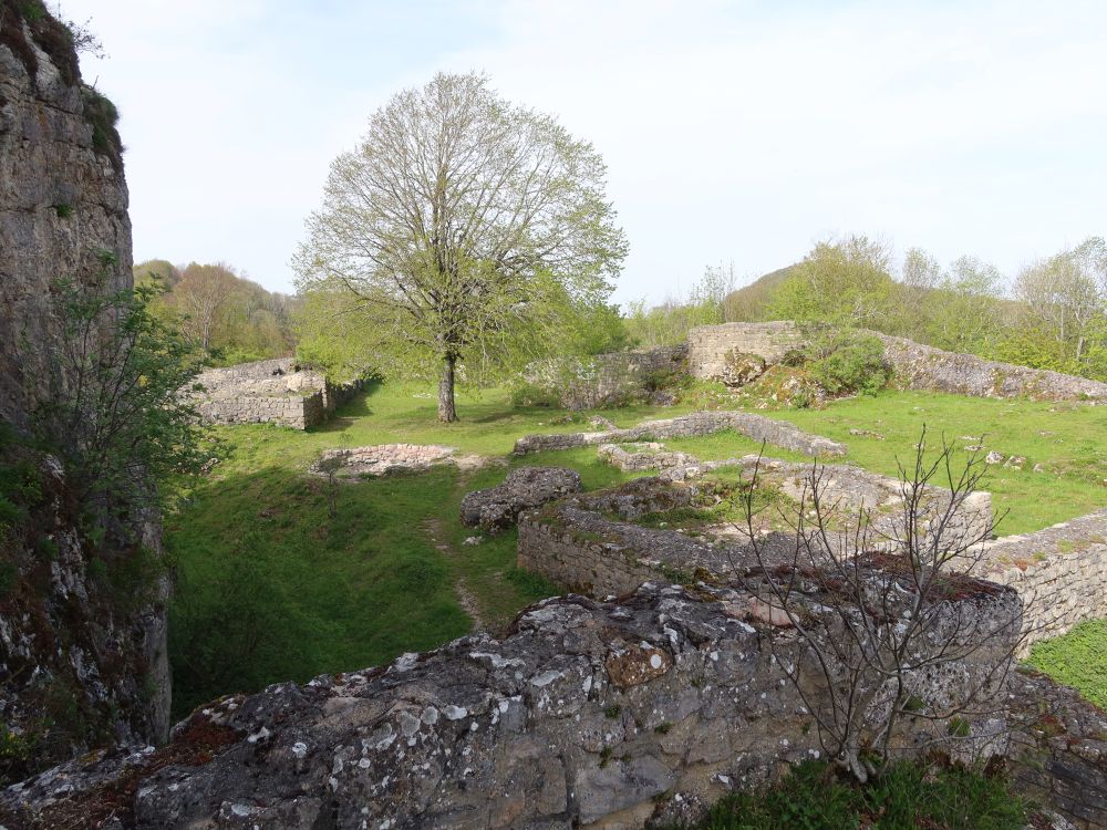 Burgruine Froburg